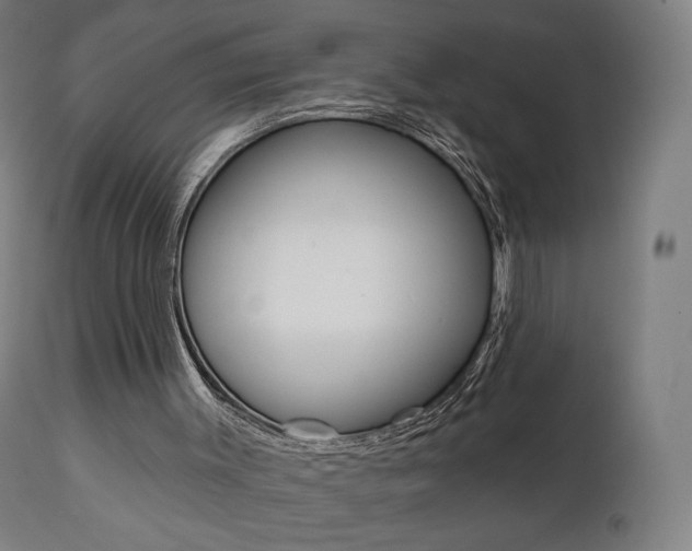 X0000112100003200908041124