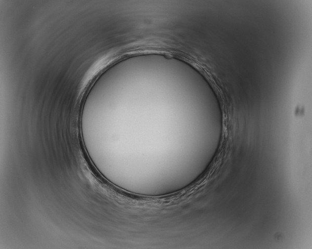 X0000112100004200908041124