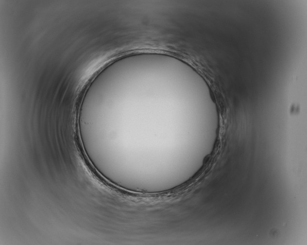 X0000112100005200908041124