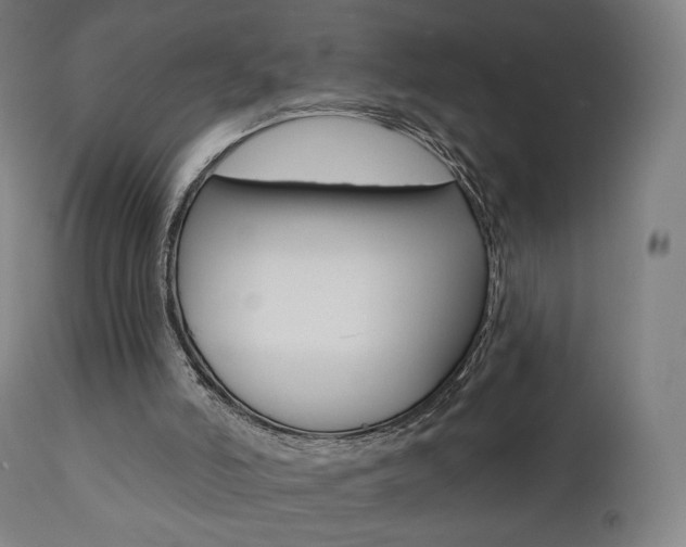 X0000112100006200908041124