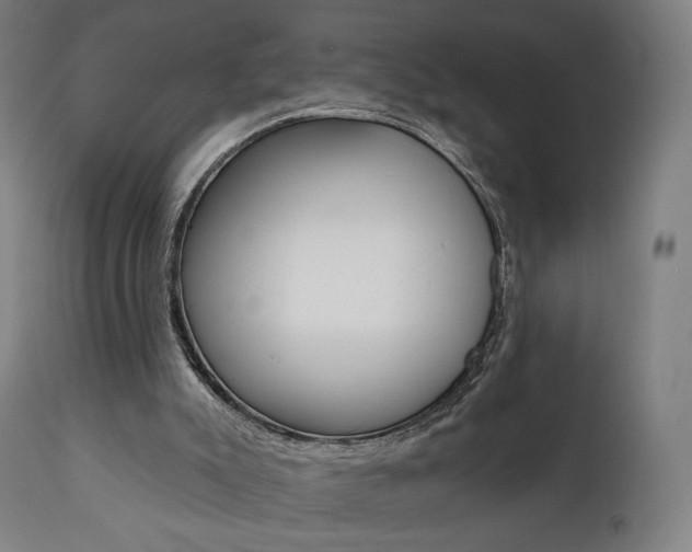 X0000112100007200908041124