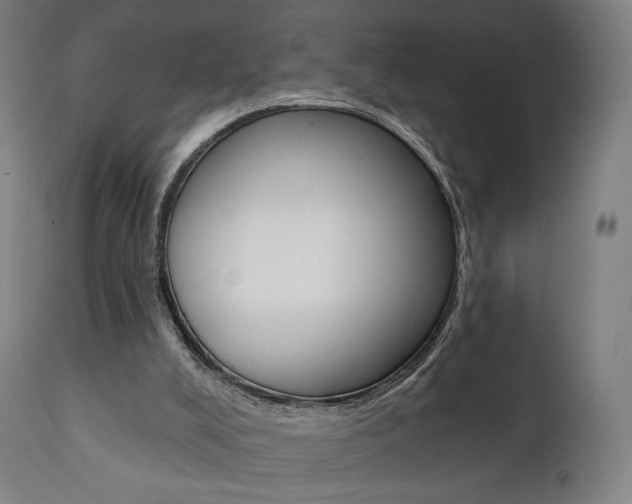 X0000112100008200908041124