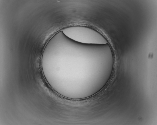 X0000112100010200908041124