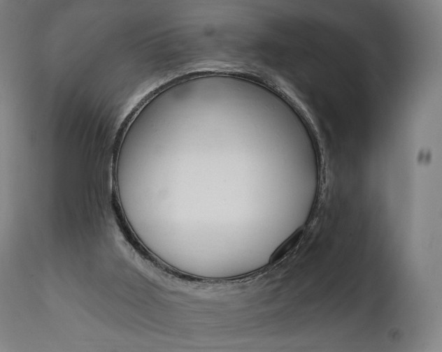 X0000112100011200908041124