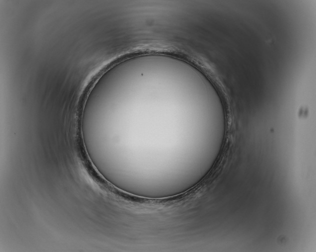 X0000112100012200908041124