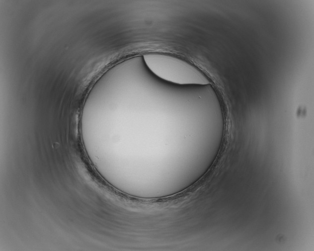 X0000112100014200908041124