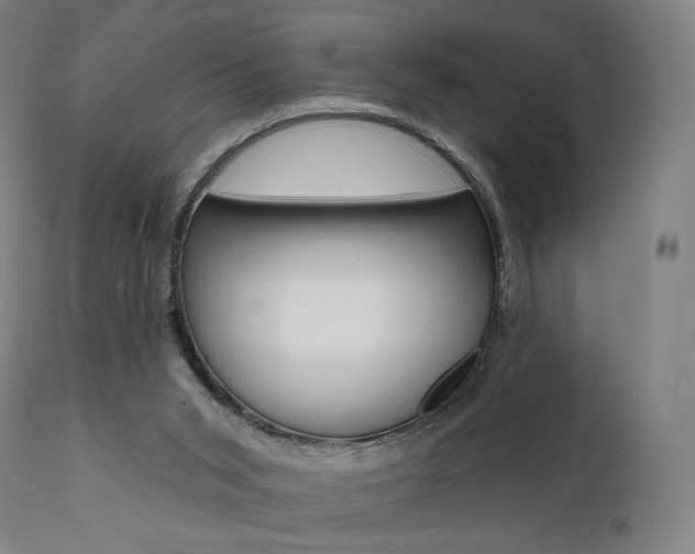 X0000112100015200908041124