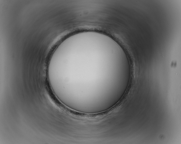 X0000112100016200908041124