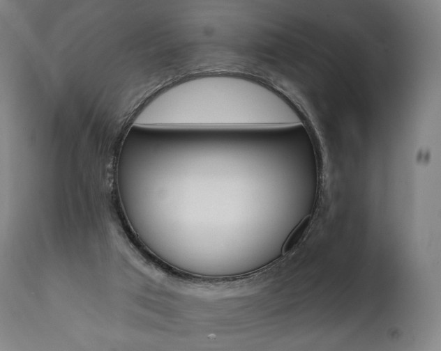 X0000112100017200908041124