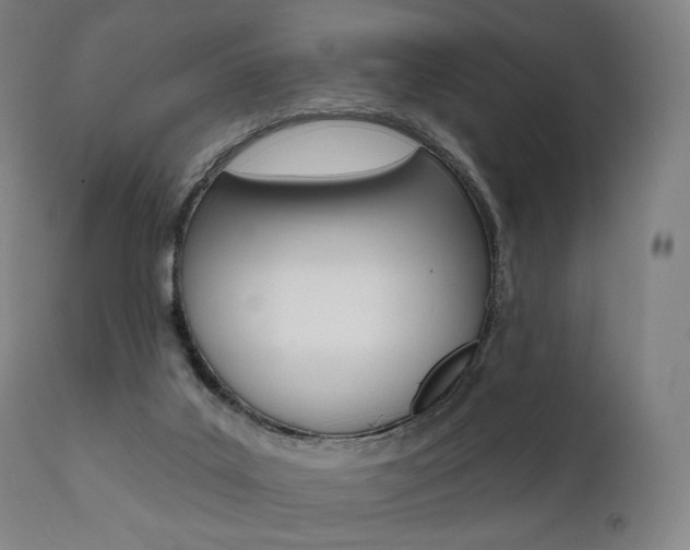 X0000112100019200908041124