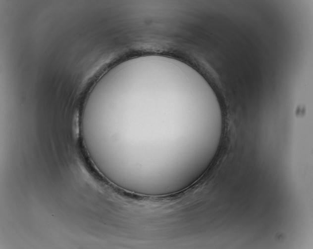 X0000112100020200908041123
