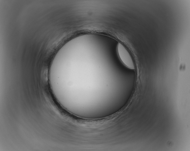 X0000112100021200908041123