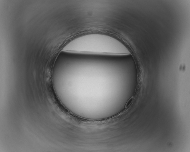 X0000112100025200908041123