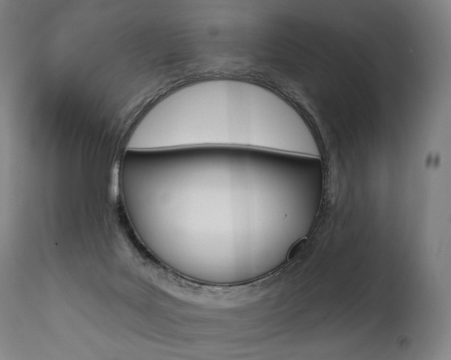 X0000112100027200908041123