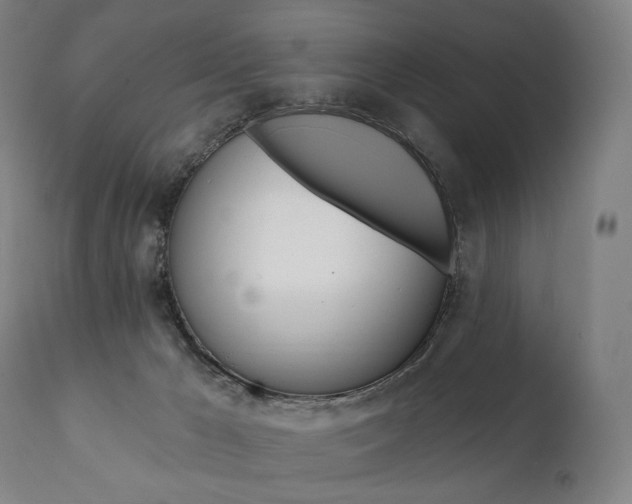 X0000112100029200908041123