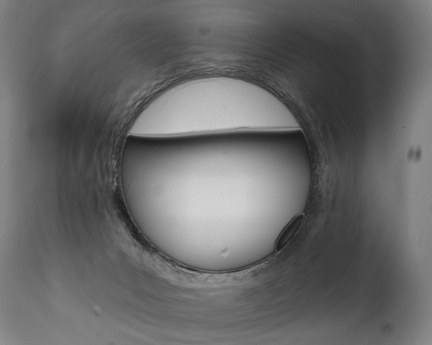 X0000112100031200908041123