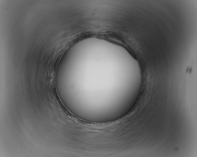X0000112100033200908041123