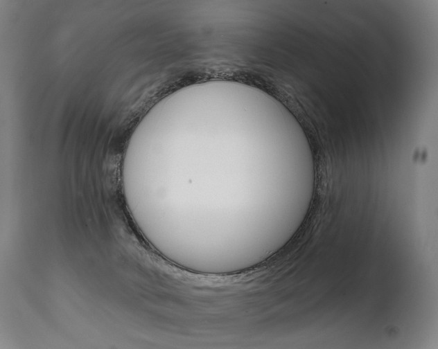 X0000112100034200908041123