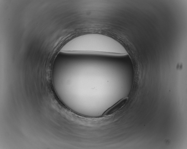 X0000112100035200908041123