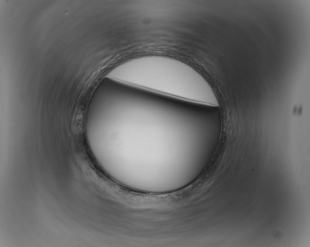 X0000112100036200908041123