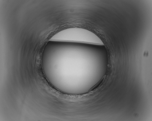 X0000112100037200908041123