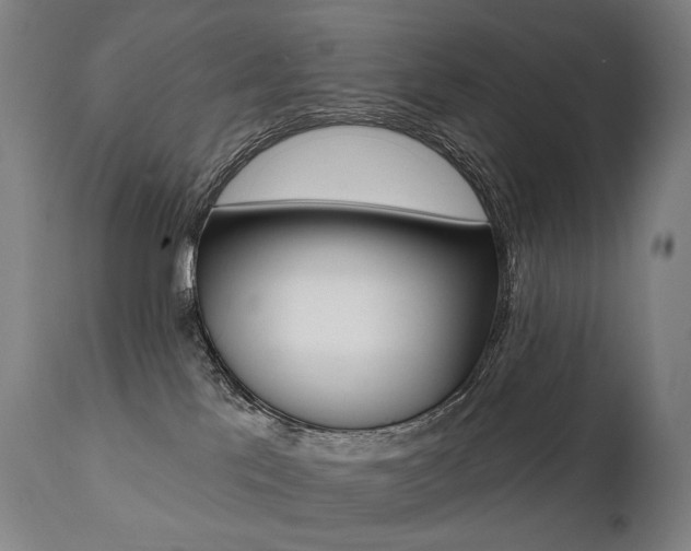 X0000112100041200908041123