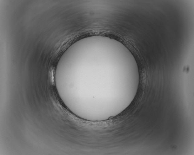 X0000112100042200908041123