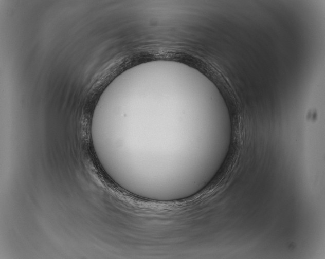X0000112100044200908041123