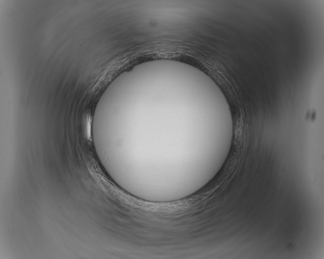 X0000112100046200908041123