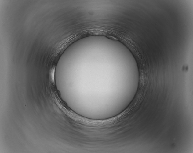 X0000112100047200908041123