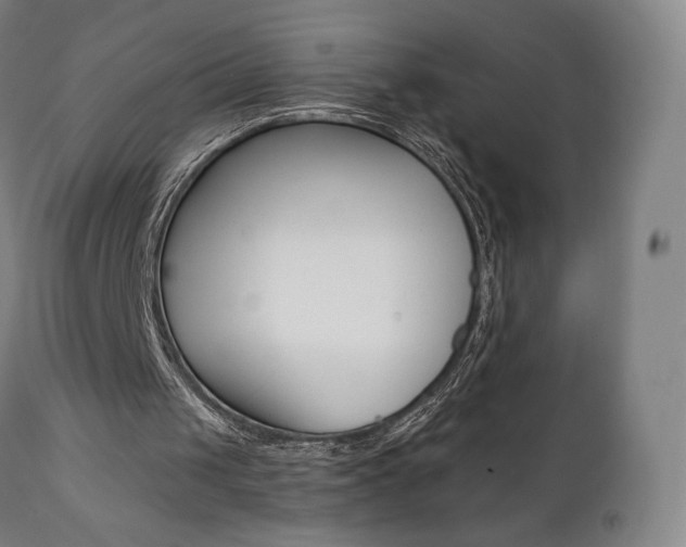 X0000112100049200908041122