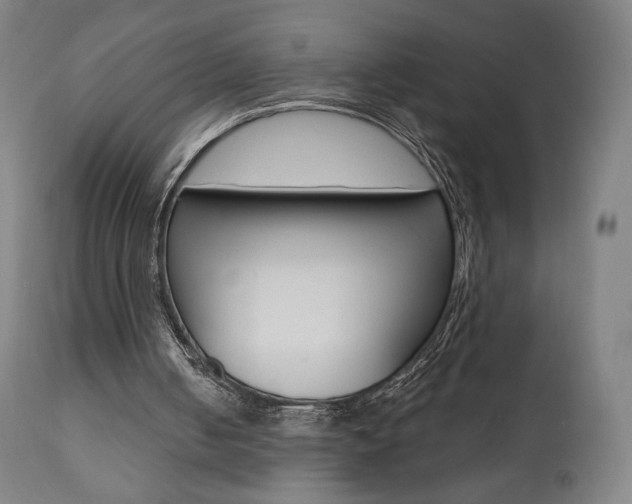 X0000112100050200908041122