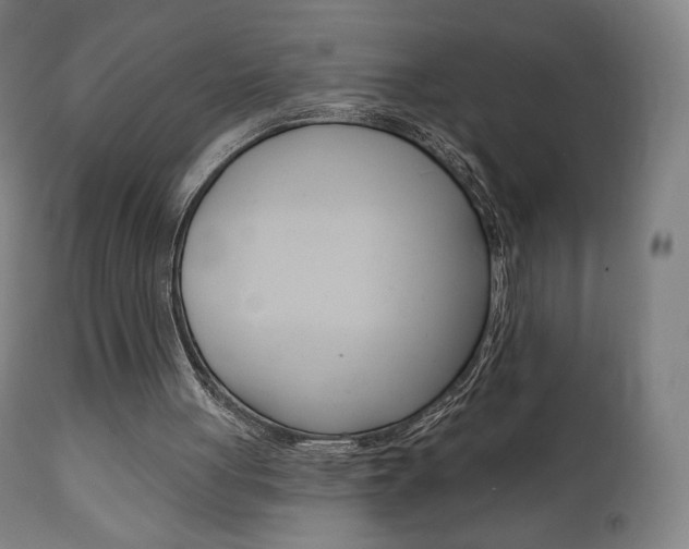 X0000112100051200908041122
