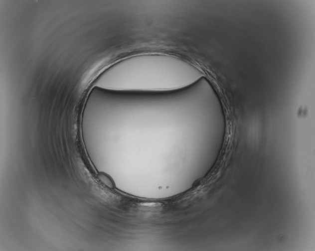 X0000112100053200908041122