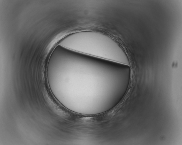X0000112100054200908041123