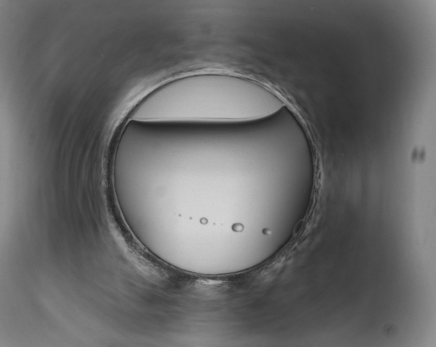 X0000112100055200908041123