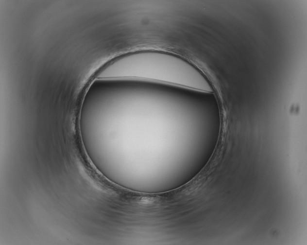 X0000112100060200908041123