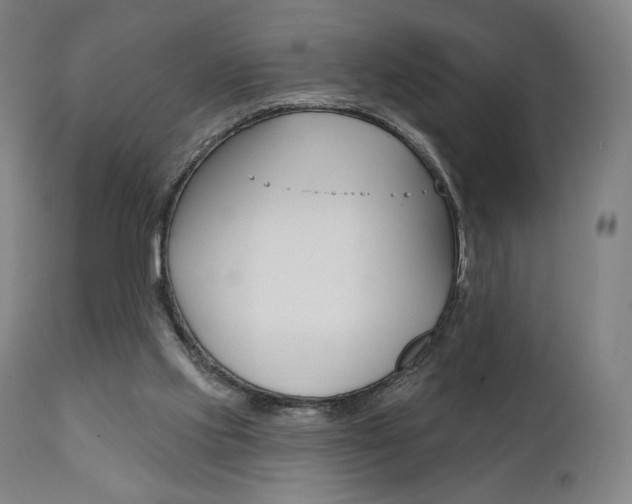 X0000112100061200908041123