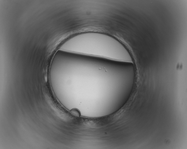 X0000112100062200908041123