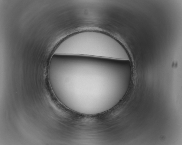 X0000112100063200908041123