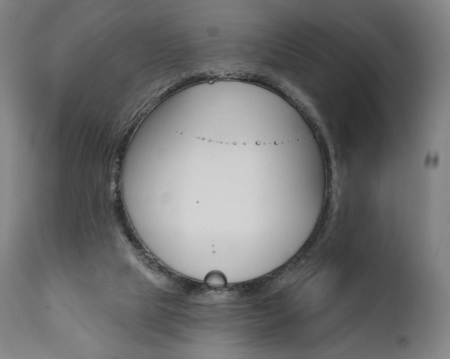 X0000112100065200908041123