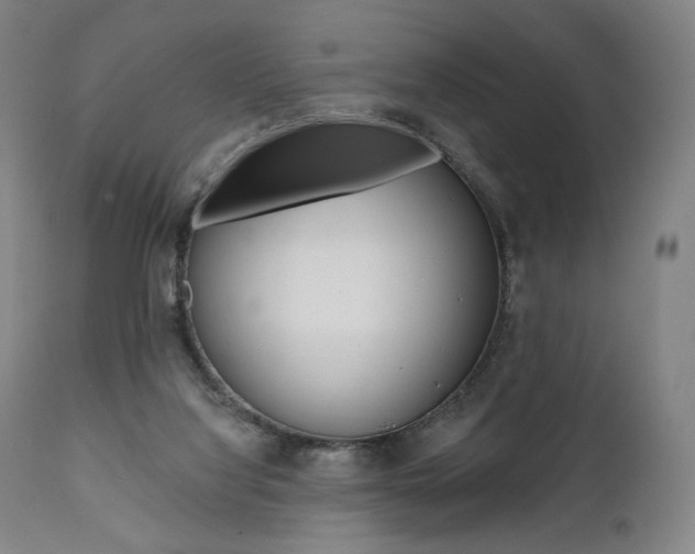 X0000112100068200908041123