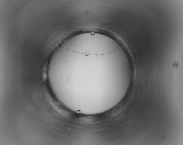X0000112100069200908041123