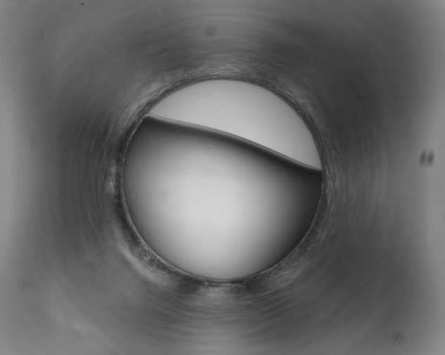 X0000112100072200908041123