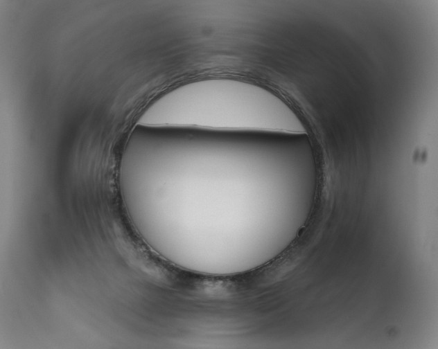 X0000112100073200908041123