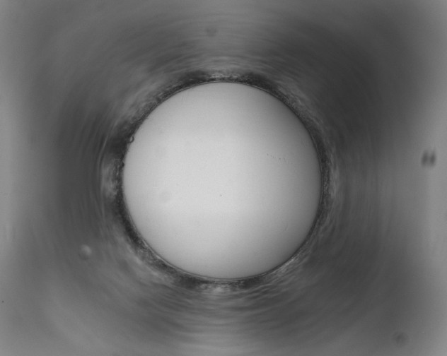 X0000112100074200908041123