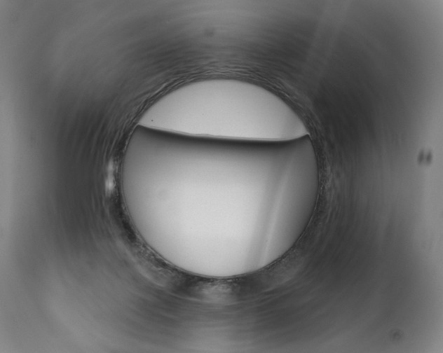 X0000112100075200908041123