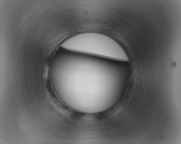 X0000112100076200908041123