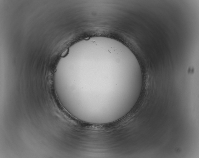 X0000112100077200908041123