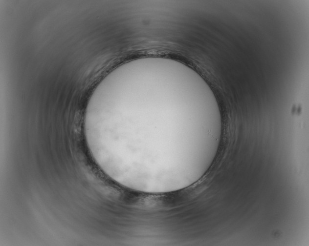X0000112100078200908041123